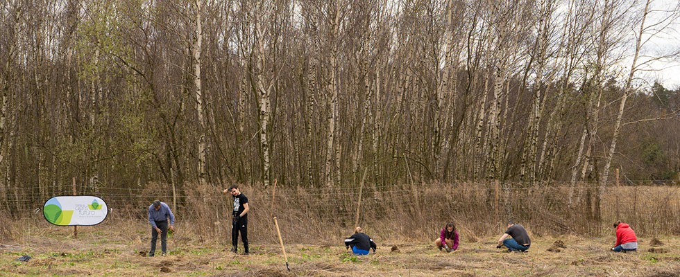 4150 drzew z okazji 95 urodzin firmy Caterpillar