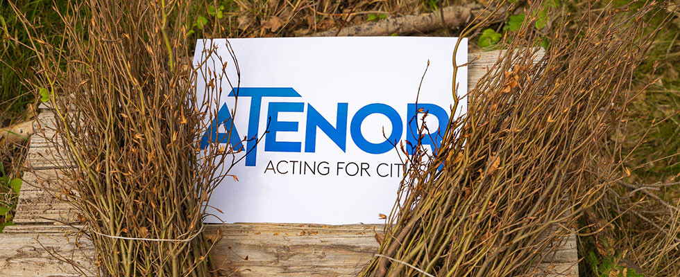 Posadziliśmy buki z Atenorem - 2022 drzewa na 2022 rok