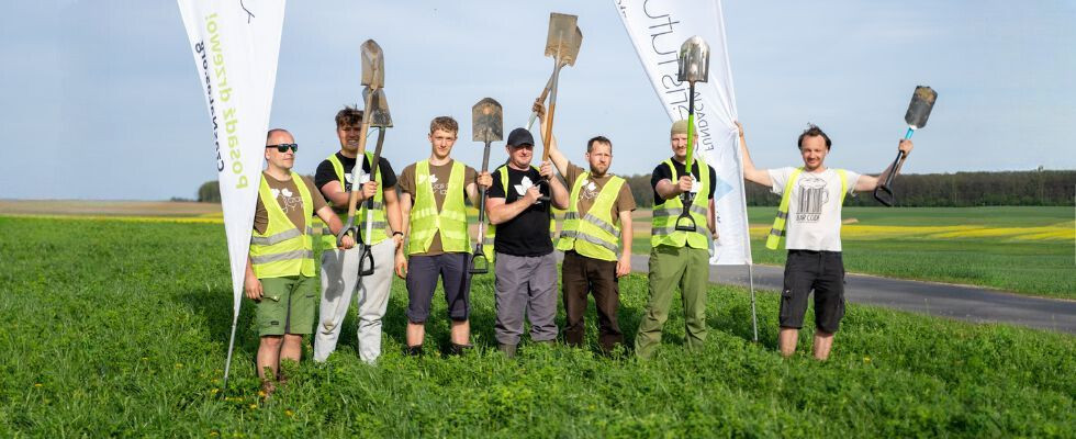 1500 drzew dzięki współpracy z Caterpillar Foundation oraz One Tree Planted