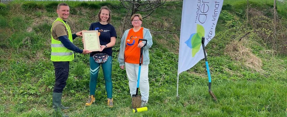Każdy zakupiony bilet na konferencję WordCamp 2024 pozwolił na posadzenie jednego drzewa.