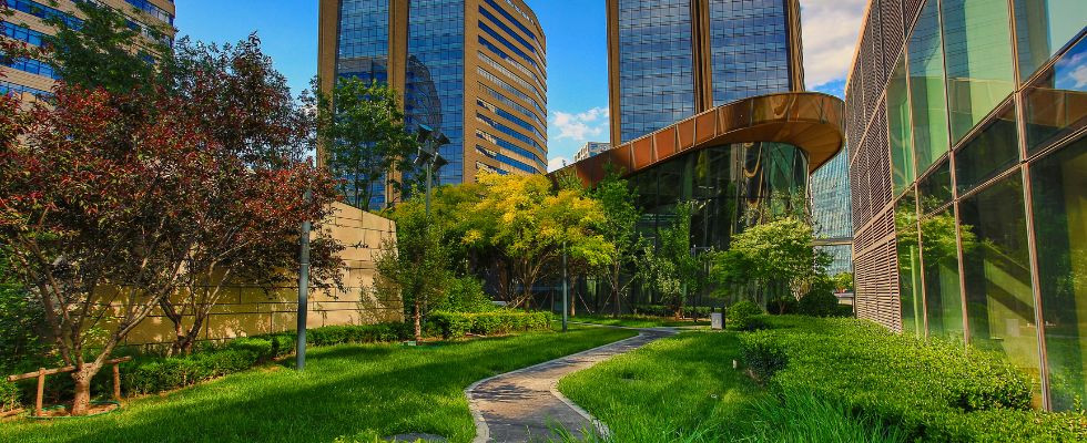 Zielona gentryfikacja - nowy problem rozwijających się miast