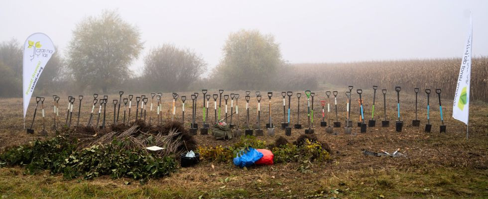 Wspierani przez wolontariuszy z krakowskiego oddziału firmy UBS, posadziliśmy 2000 drzew w okolicy oczyszczalni ścieków Wołowice