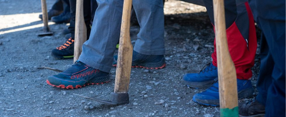 Sadzenie drzew ze sklepem górskim dzięki Snap Outdoor