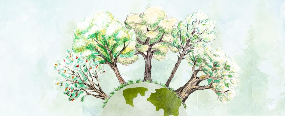 Dzień Ziemi w Mysłowicach