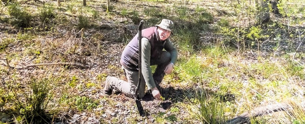 Sadzenie drzew w parku narodowym