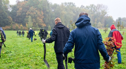 Sadzenie drzew i krzewów w Mysłowicach