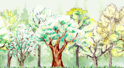 20 lat fundacji – doświadczenie, które zobowiązuje