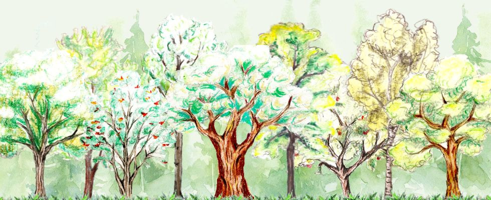 20 lat fundacji – doświadczenie, które zobowiązuje